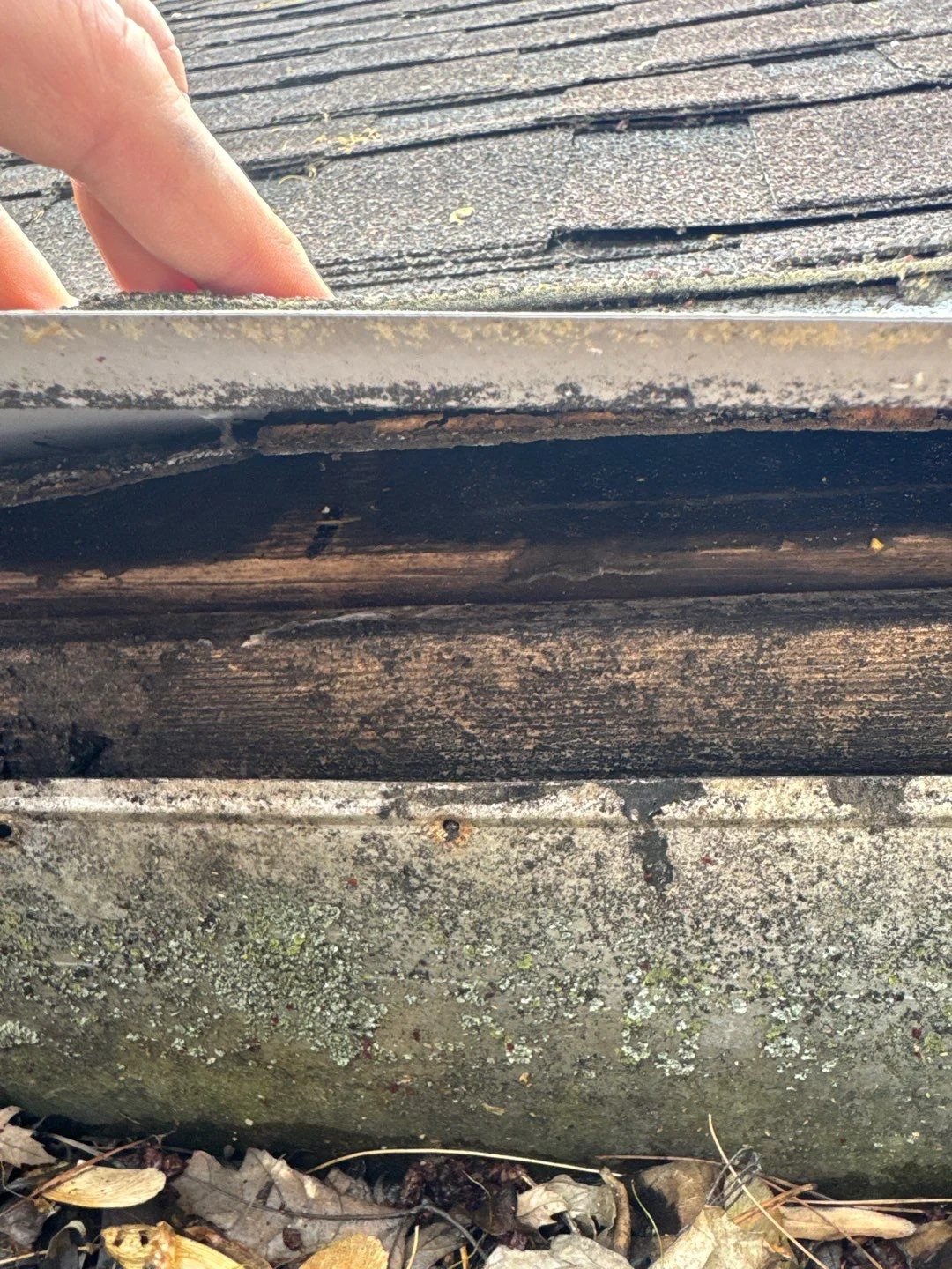 Commercial Roof Leak Causes: Top Failure Points in Mount Carmel